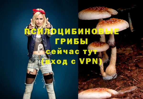 мескалин Абаза