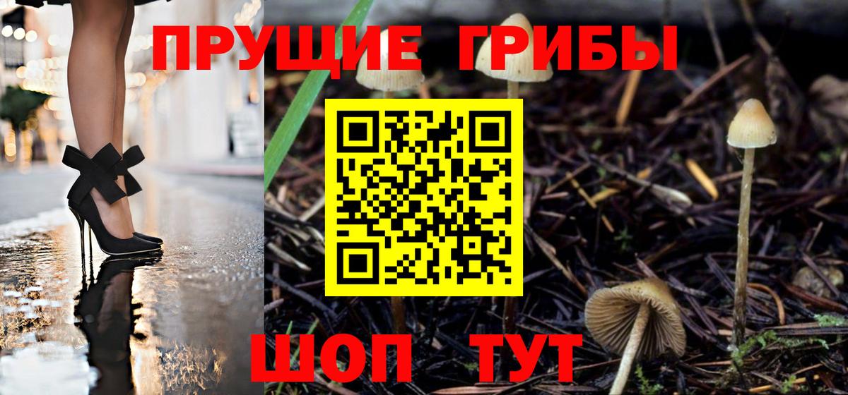 Псилоцибиновые грибы Psilocybe  Галлюциногенные грибы Psilocybine cubensis  Вход с VPN  дарнет шоп  Электросталь 